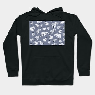 Copy of Bohemian Waxwings - card Hoodie